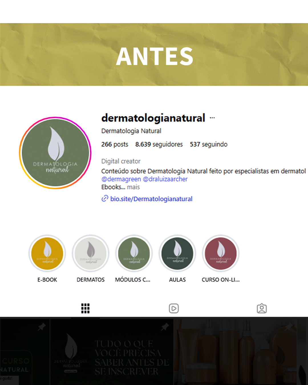 Foto de Perfil do Insta Profissional e Destaques (até 5)