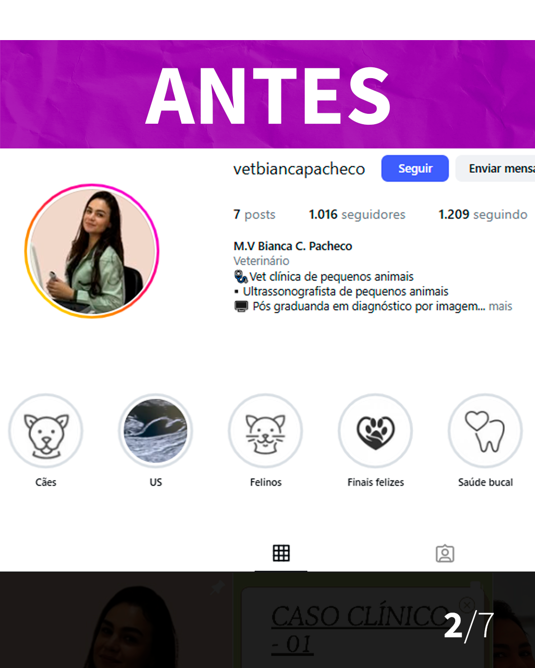 Foto de Perfil do Insta Profissional e Destaques (até 5)